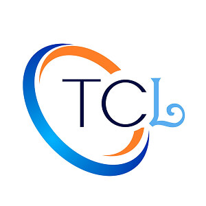 thecleaningladies-logo